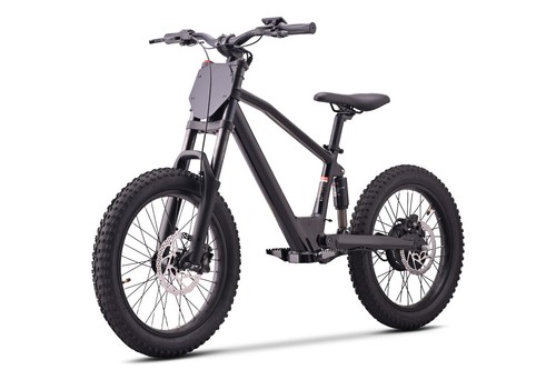 36v 7ah 750w - 7ah,
